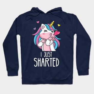 Im a unicorn and I just sharted, sorry! Hoodie